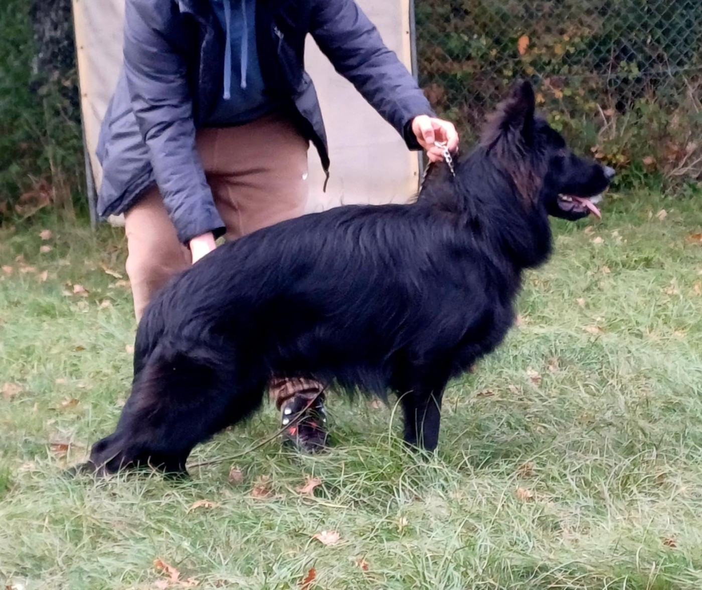 V wendy des flammes du mal (Sans Affixe)