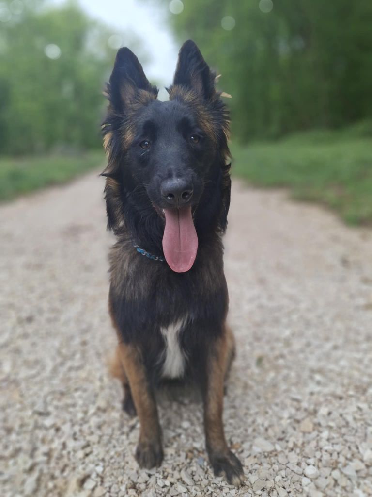 V'wonder woman des flammes du mal